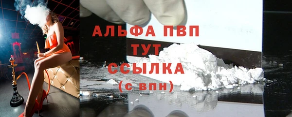 стаф Богородицк