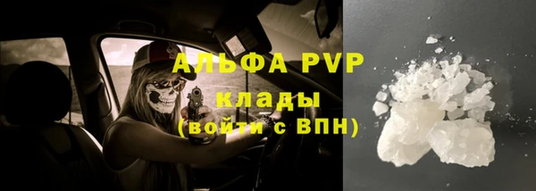 стаф Богородицк