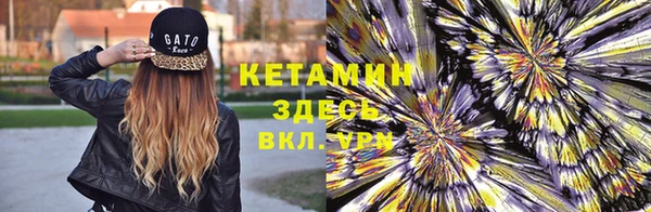 стаф Богородицк