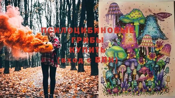 стаф Богородицк