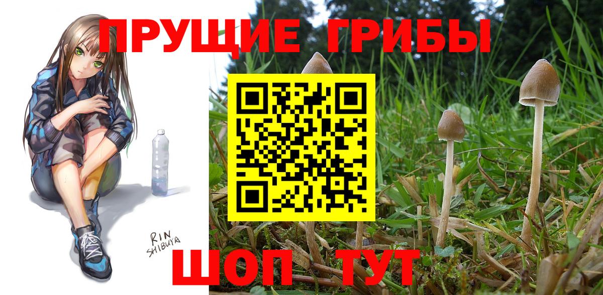 Псилоцибиновые грибы Magic Shrooms Бузулук