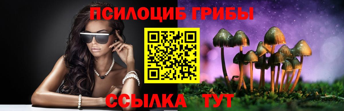 Бузулук  Псилоцибиновые грибы MAGIC MUSHROOMS  Вход с VPN 